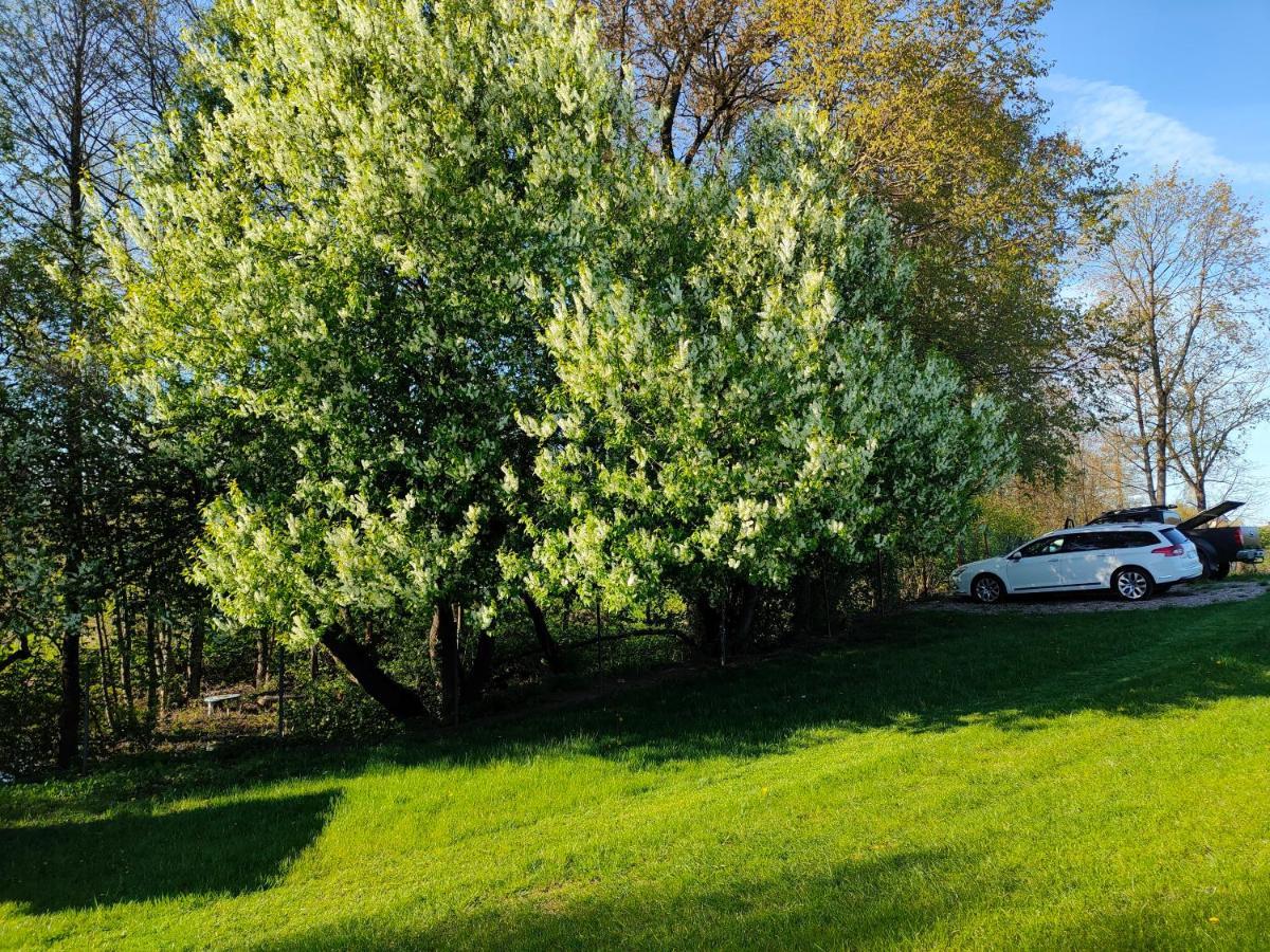 Wczasy Mazurskie - Domek Caloroczny Bez Mazury Moldzie Extérieur photo